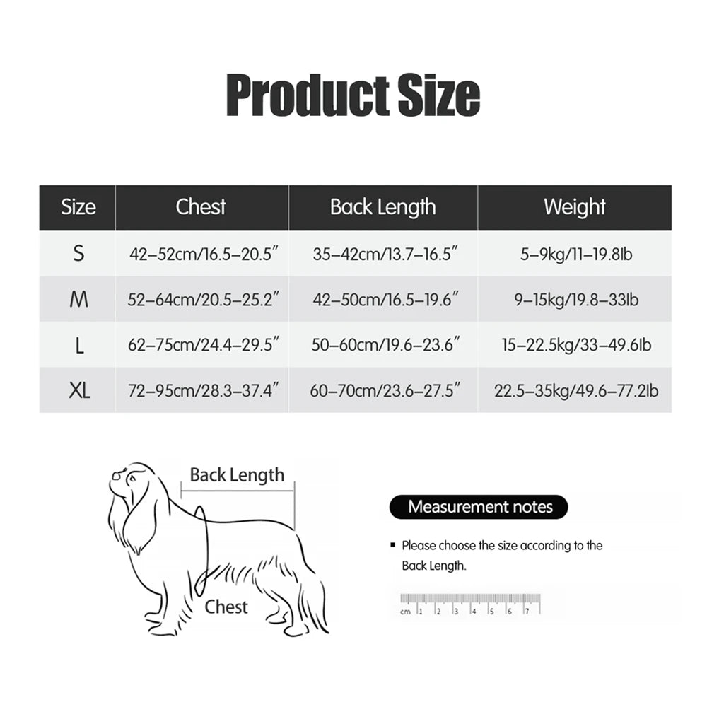 Zoomie Tales ChillPaws