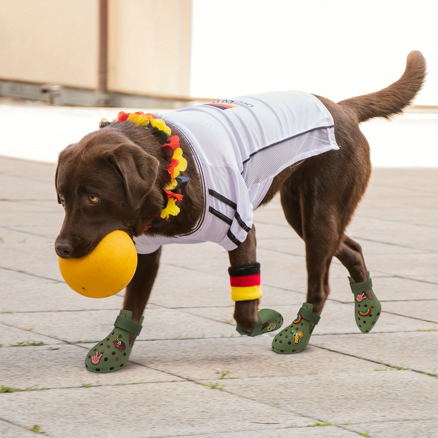 Dog Shoes with Paw Protection