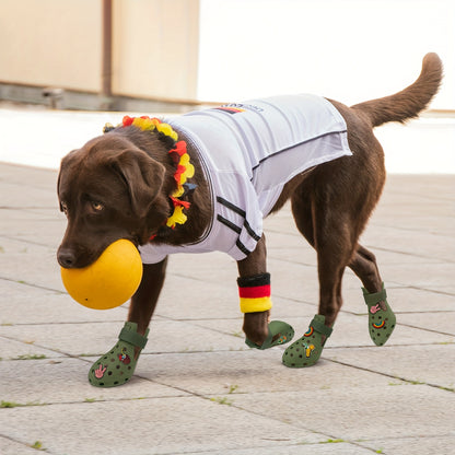 Dog Shoes with Paw Protection