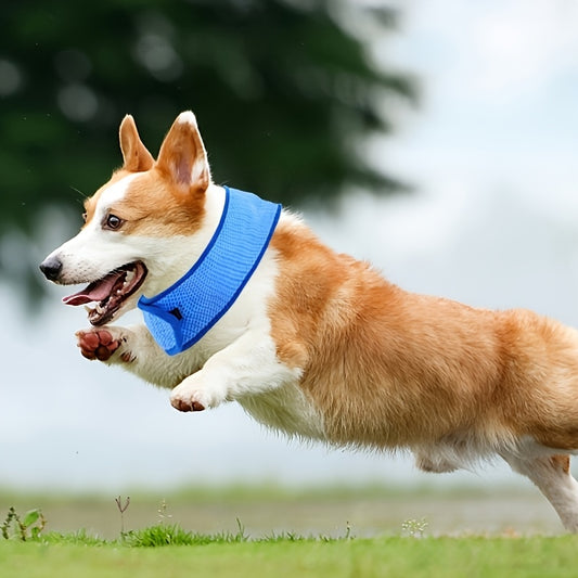 Pet cooling collar