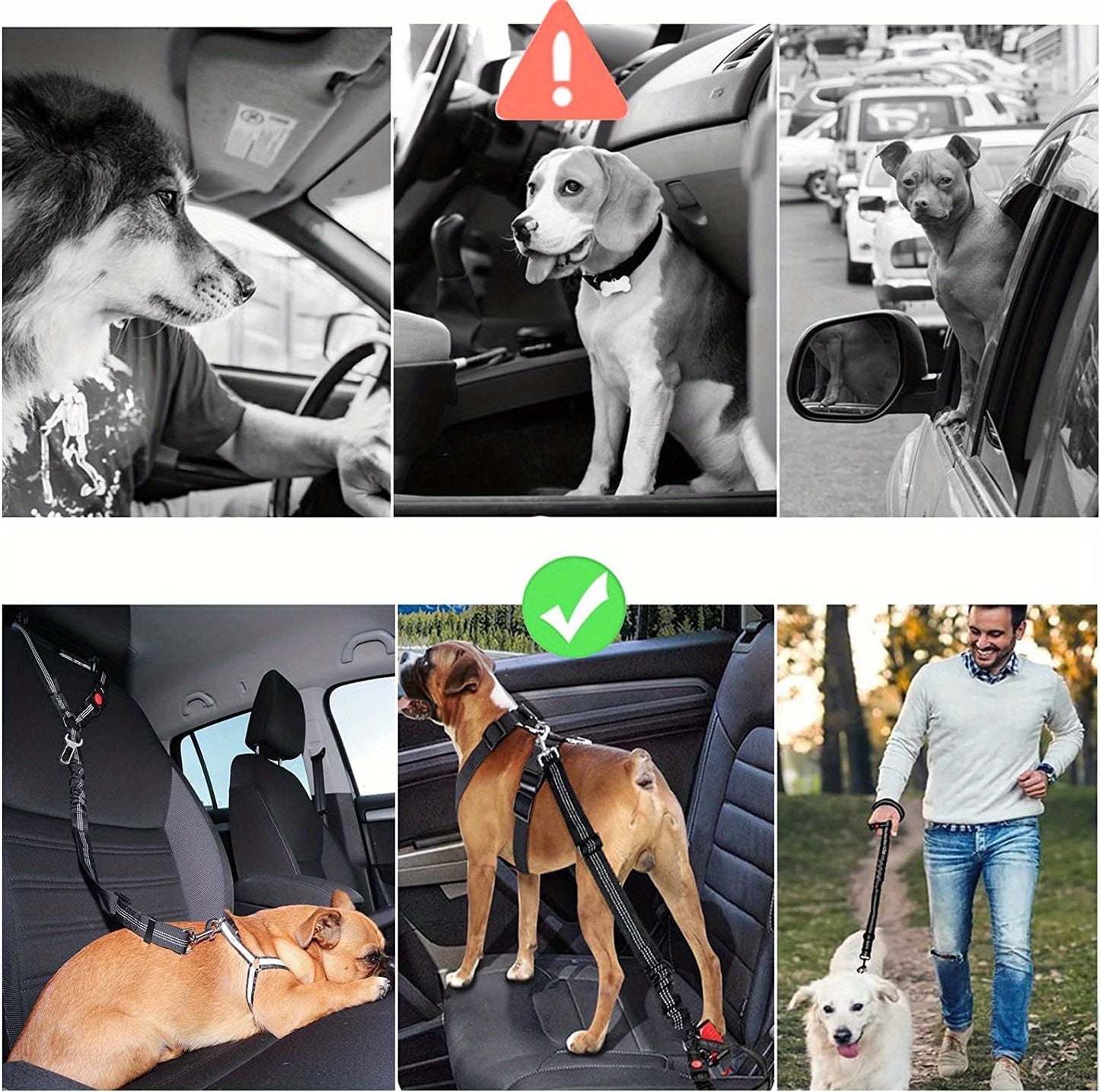 ZoomieTales TravelGuard – 2-in-1 Dog Harness & Car Seat Belt for Safer, Happier Journeys