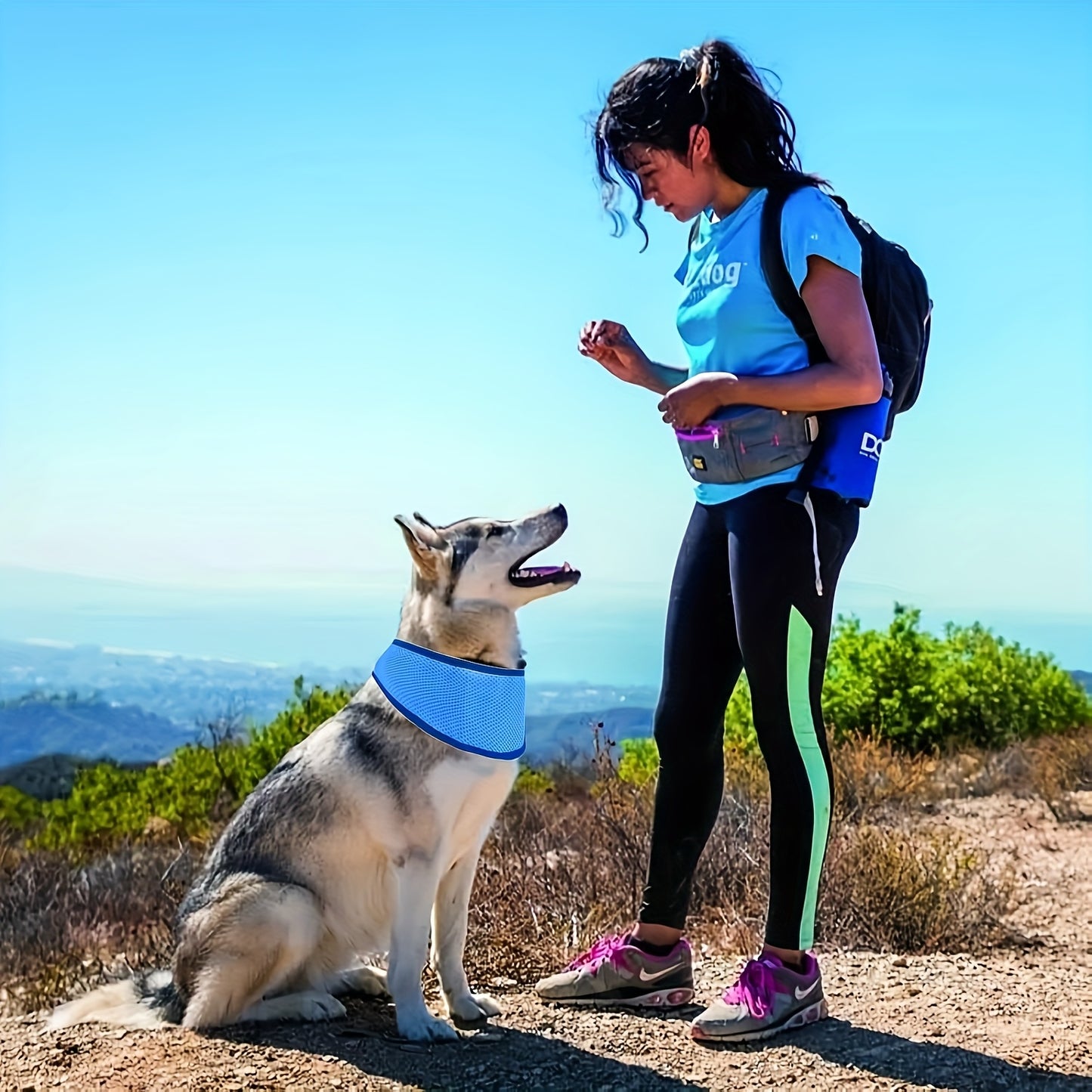 Pet cooling collar