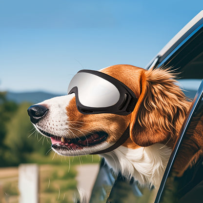 Adventure Pup Goggles – UV & Wind Protection for Happy, Confident Zoomies
