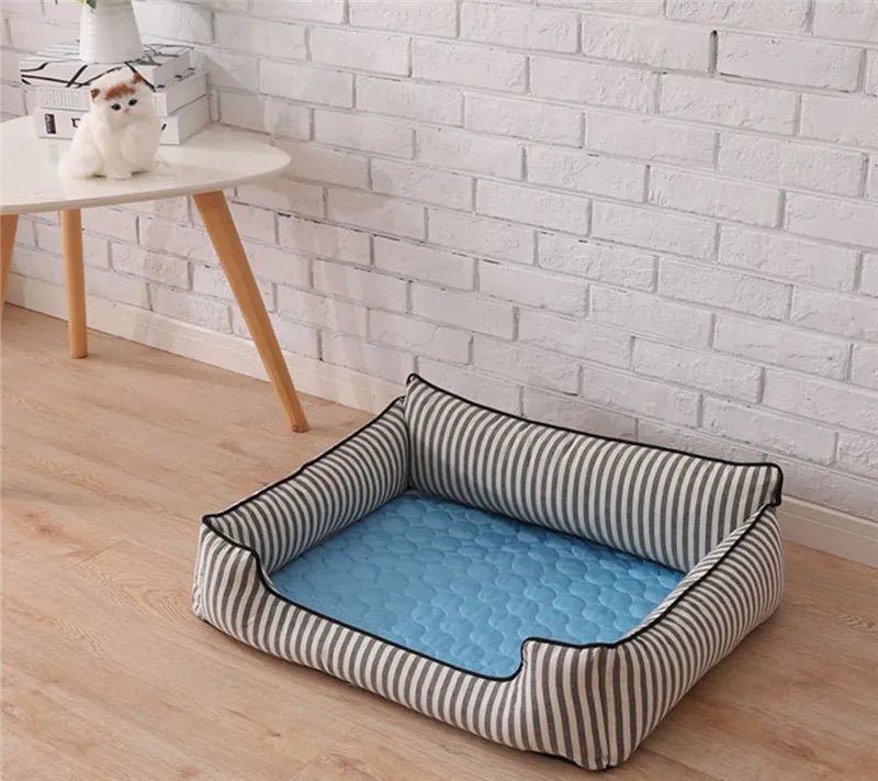 Zoomie Tales Cool Paws