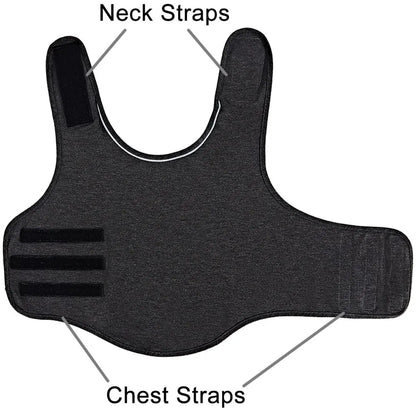 Zoomie Tales Anxiety Vest