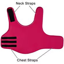 Zoomie Tales Anxiety Vest
