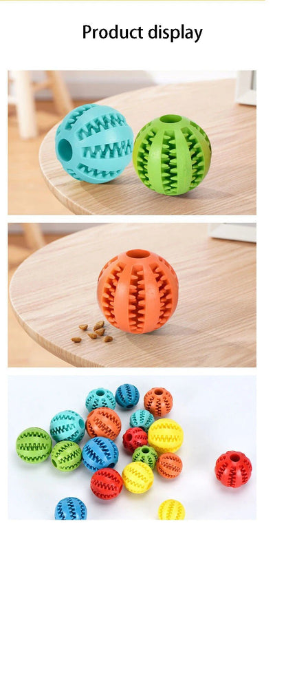 PawGrip Dental Buddy – Tough, Bouncy, & Healthy Chew Toy for Dogs