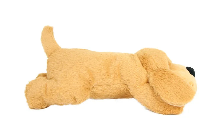Zoomie Tales Snuggle Pup