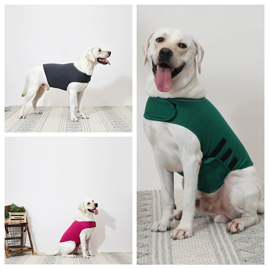 Zoomie Tales Serenity Vest - "Peaceful Paws, Happy Tales."