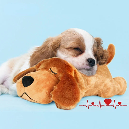 Zoomie Tales Snuggle Pup