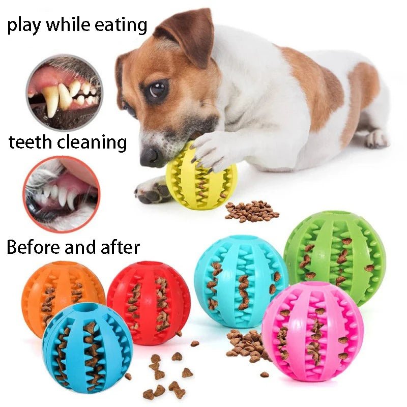 PawGrip Dental Buddy – Tough, Bouncy, & Healthy Chew Toy for Dogs