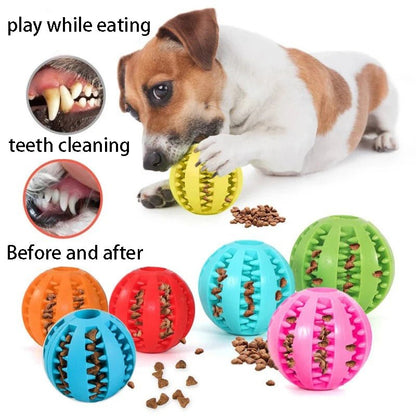 PawGrip Dental Buddy – Tough, Bouncy, & Healthy Chew Toy for Dogs