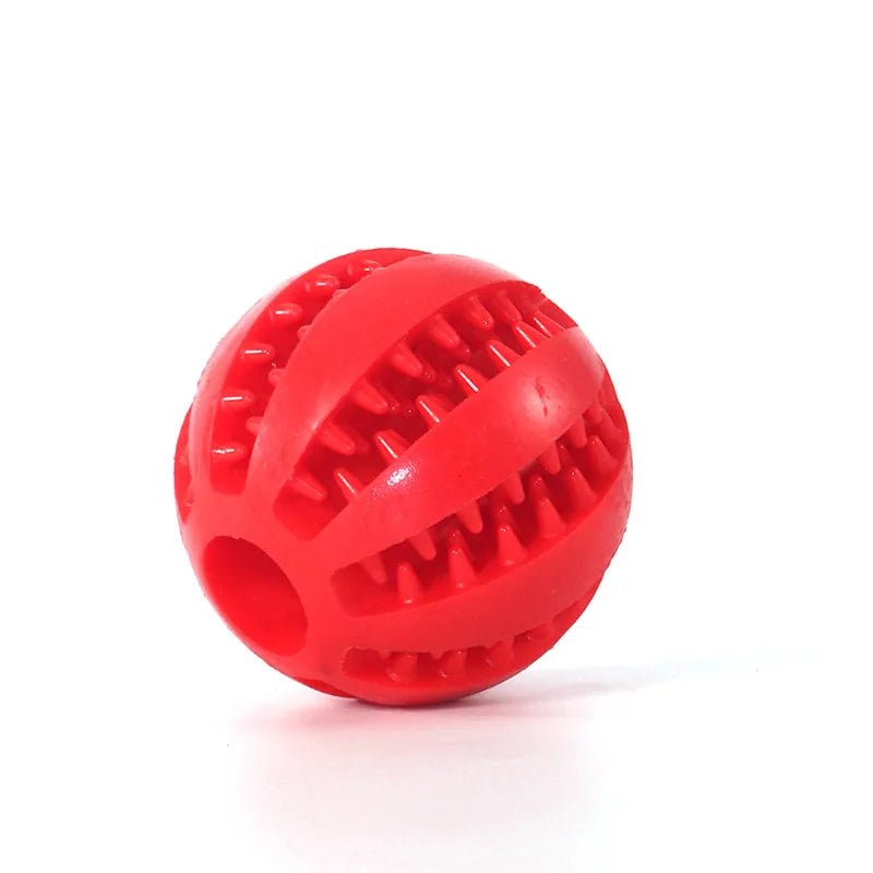 PawGrip Dental Buddy – Tough, Bouncy, & Healthy Chew Toy for Dogs