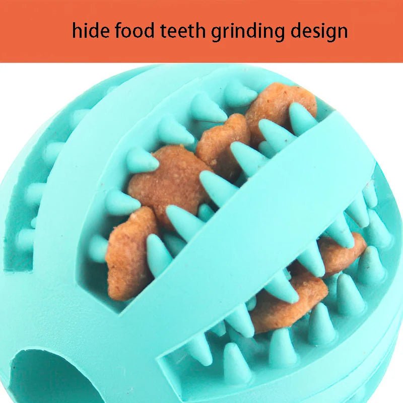PawGrip Dental Buddy – Tough, Bouncy, & Healthy Chew Toy for Dogs
