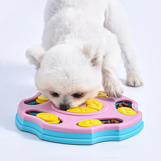 Zoomie Tales SlowBowl - Slow Down, Savor the Fun.
