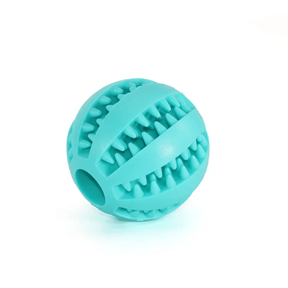 PawGrip Dental Buddy – Tough, Bouncy, & Healthy Chew Toy for Dogs