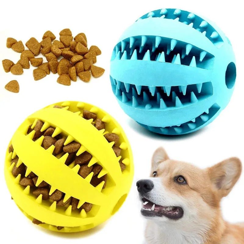 PawGrip Dental Buddy – Tough, Bouncy, & Healthy Chew Toy for Dogs