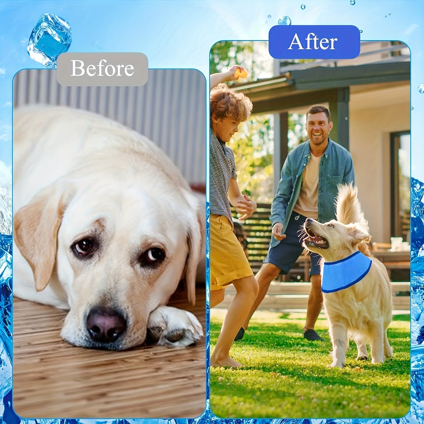 Pet cooling collar