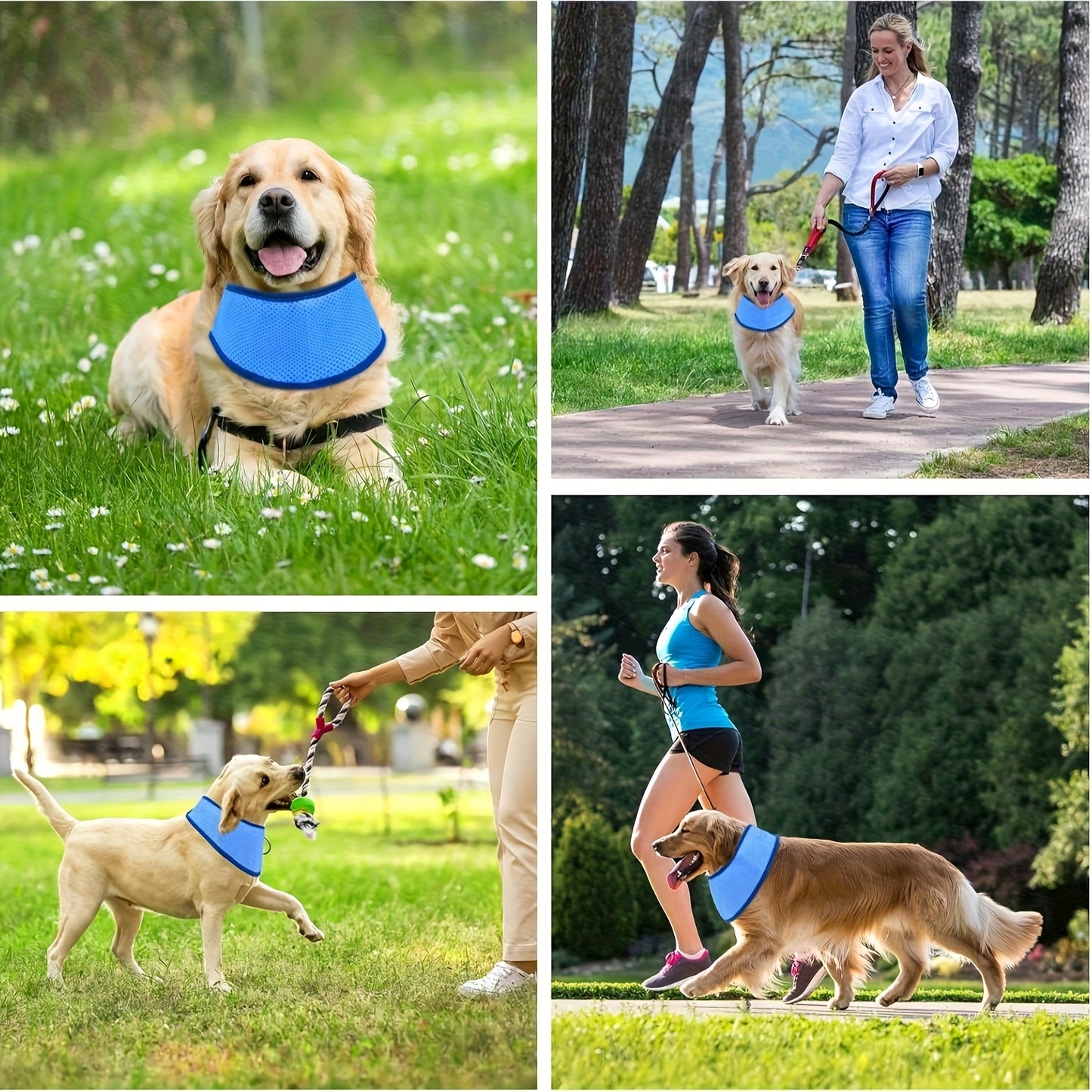 Pet cooling collar