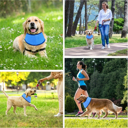 Pet cooling collar