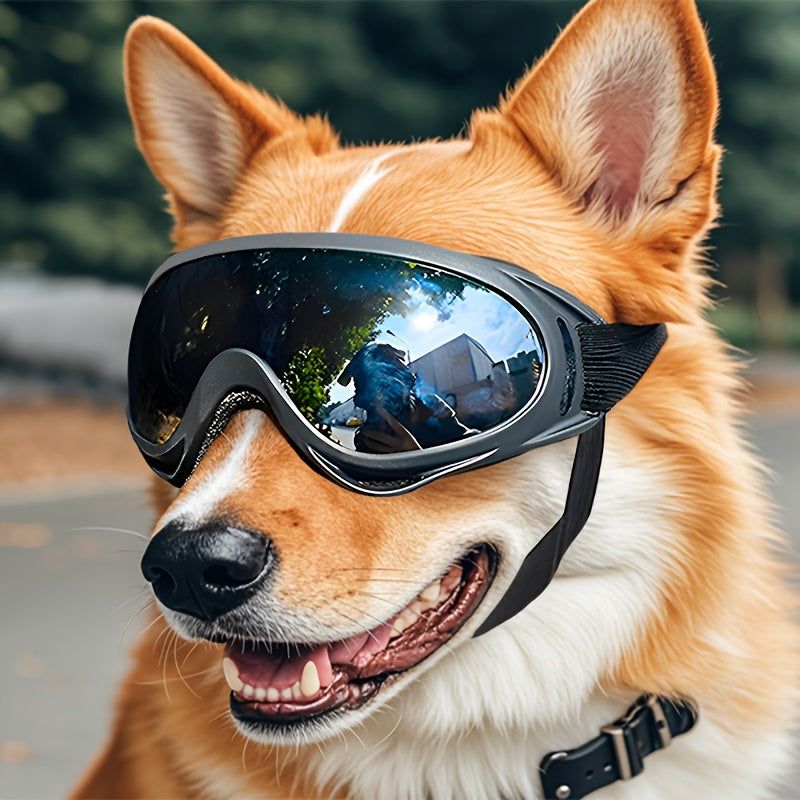 Adventure Pup Goggles – UV & Wind Protection for Happy, Confident Zoomies